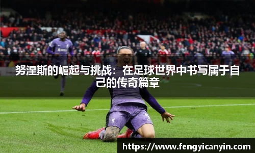 努涅斯的崛起与挑战：在足球世界中书写属于自己的传奇篇章